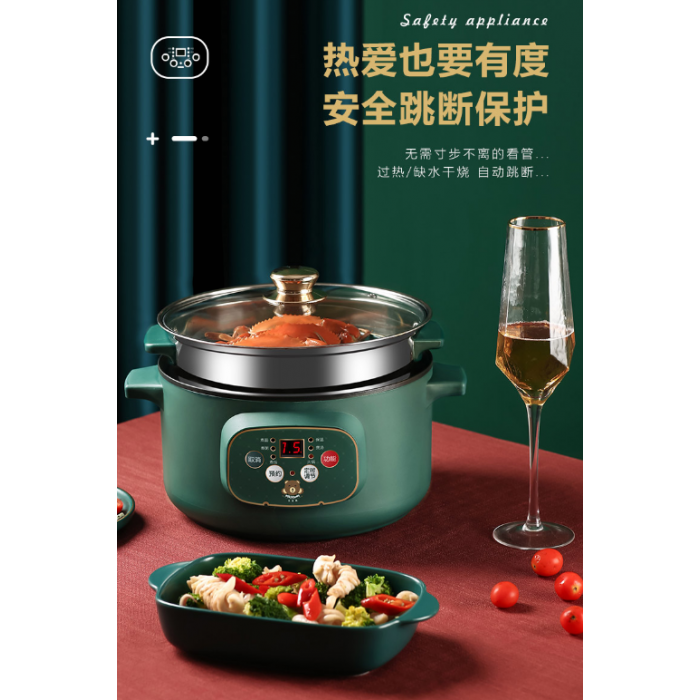 premier electric rice cooker
